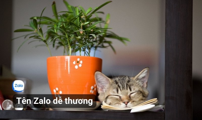 Tên Zalo dễ thương